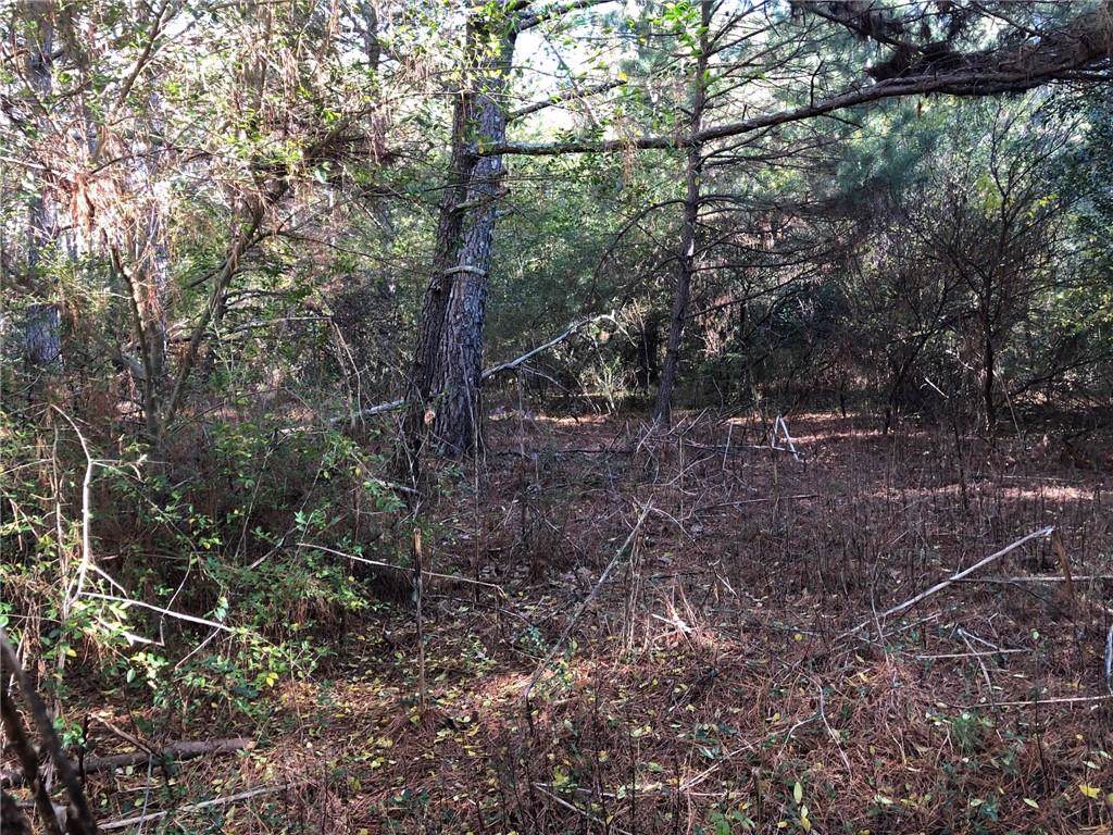 02 Jones Mountain Road - Photo 1