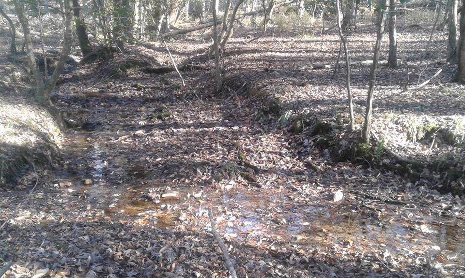 0 Promise Trail - Photo 1