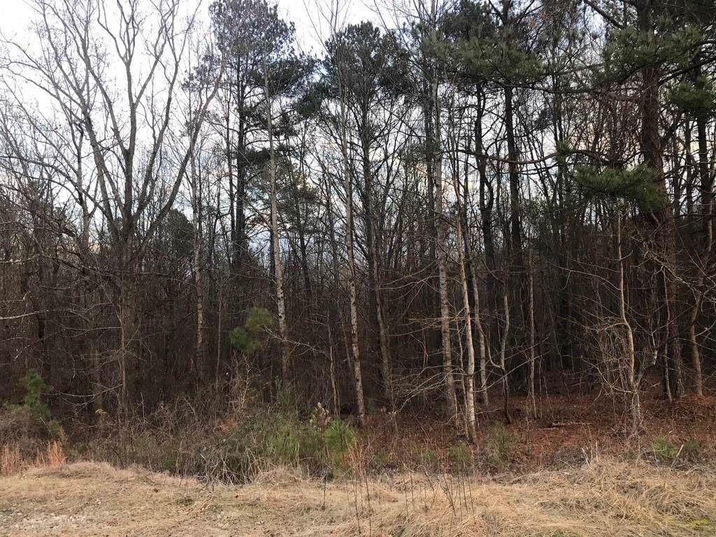 0 Liberty Church Road - Photo 1