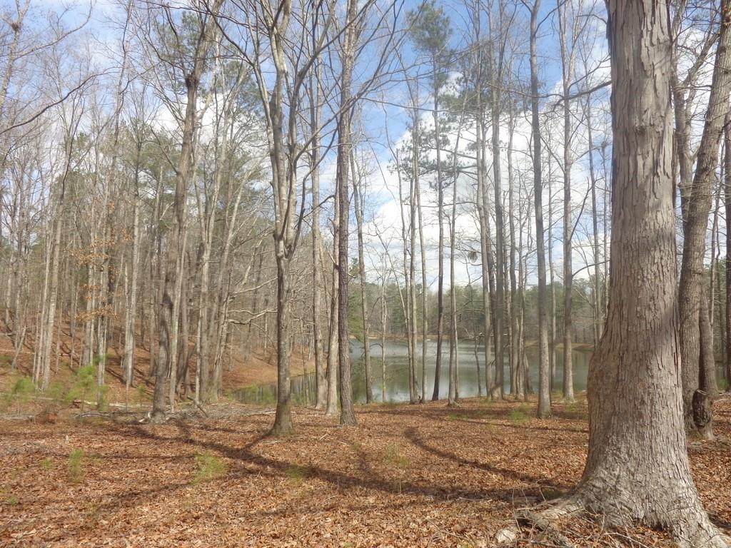 0 Pamela Drive - Photo 1