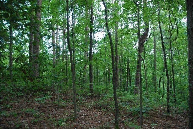 235 Roberts Road - Photo 1