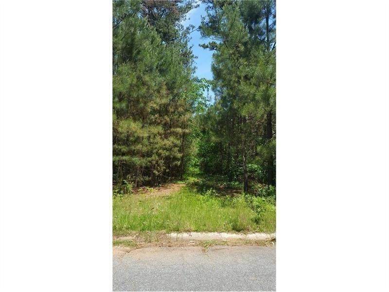 5181 Rebel Road - Photo 1