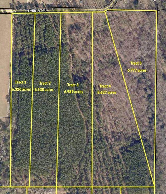 Lot 2 Shelnut Road - Photo 1