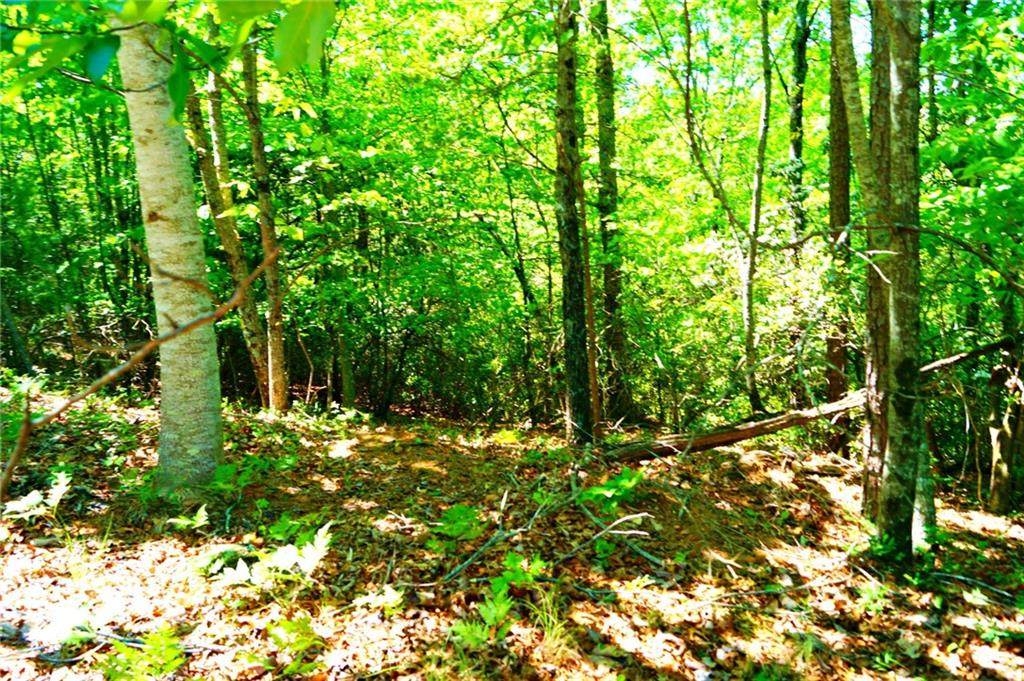Lt 119 S Laceola Road - Photo 1