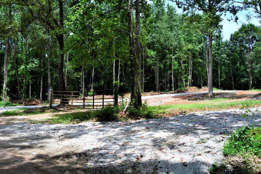0 Old Mill (Lot 6) Road - Photo 1