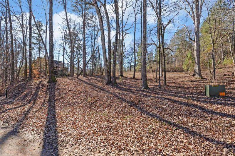 116 Edgewater Trail - Photo 1