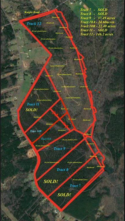 00 Weaver Jones Tract 10A Road - Photo 1