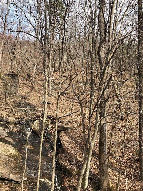 1396 Laurel Mill Trail - Photo 1