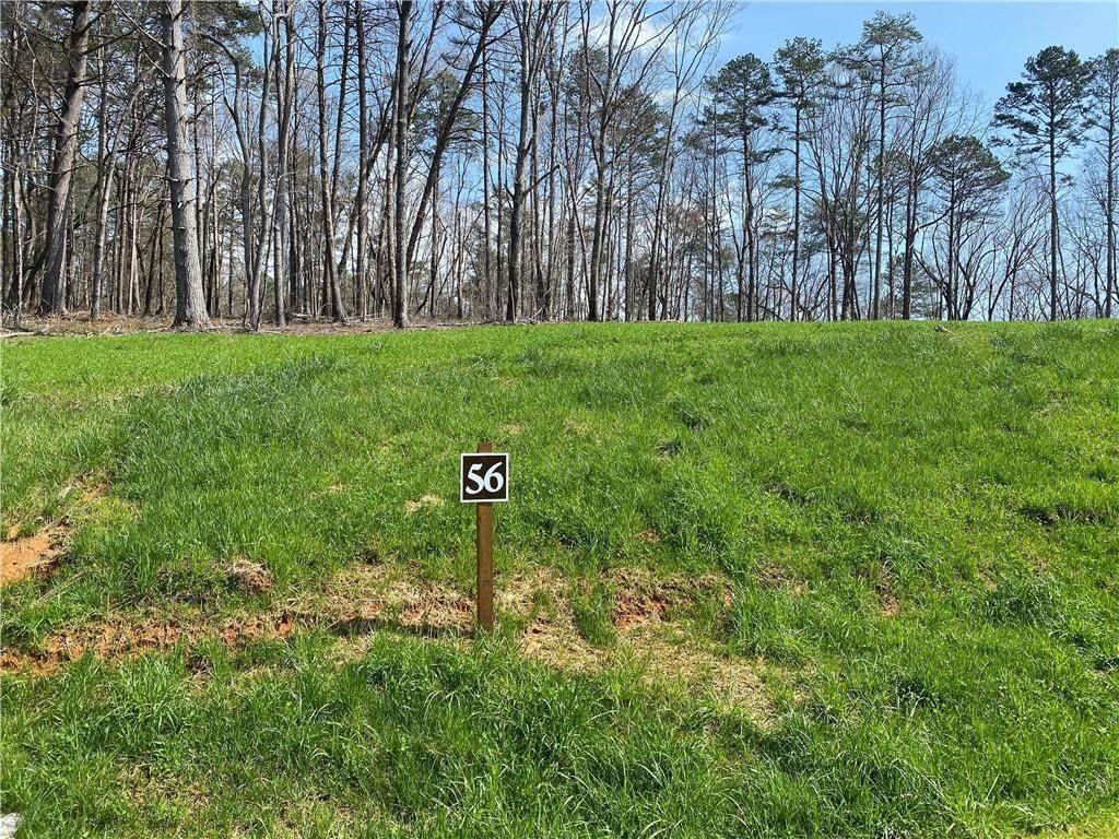 Lot 56 Linger Longer Dr - Photo 1