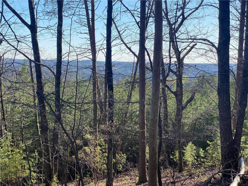 2 Crown Mountain Ridge - Photo 1