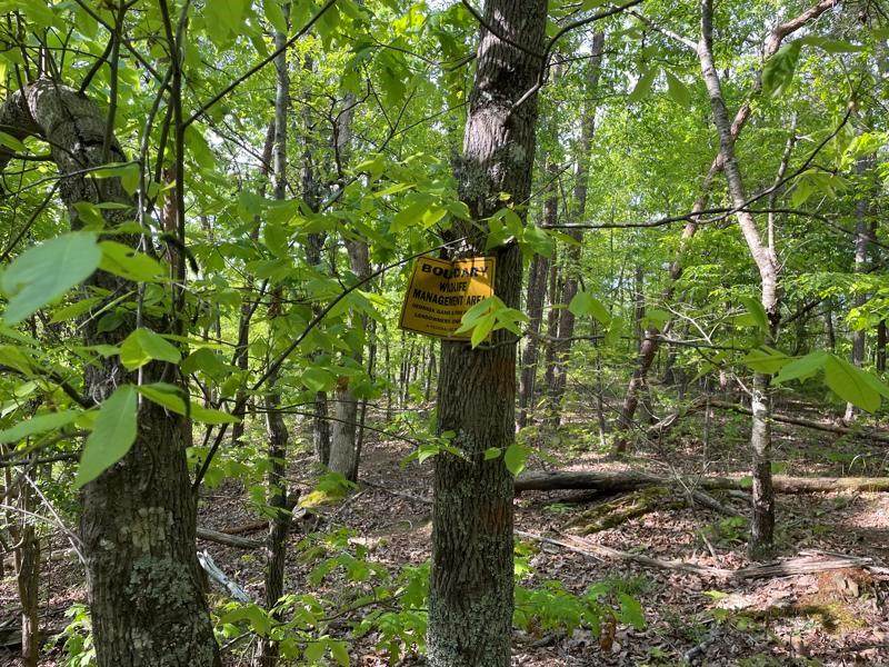0 Muscadine Lane - Photo 1