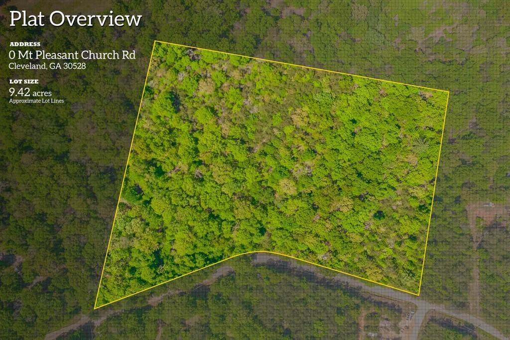 0 Mount Pleasant Church Road - Photo 1