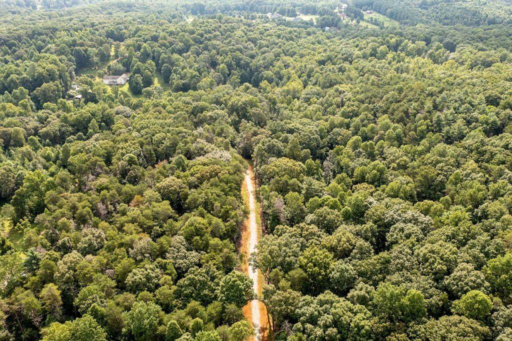 0 Lot 2 Keith Evans Road - Photo 1