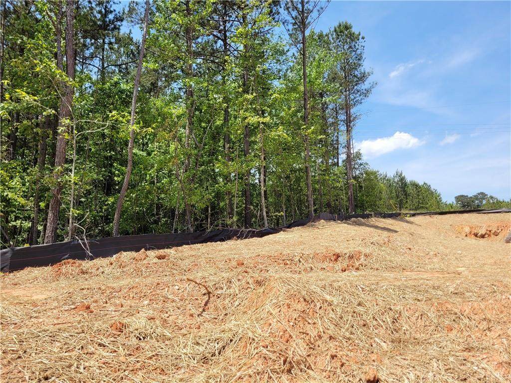 513 Silver Leaf Parkway - Photo 1