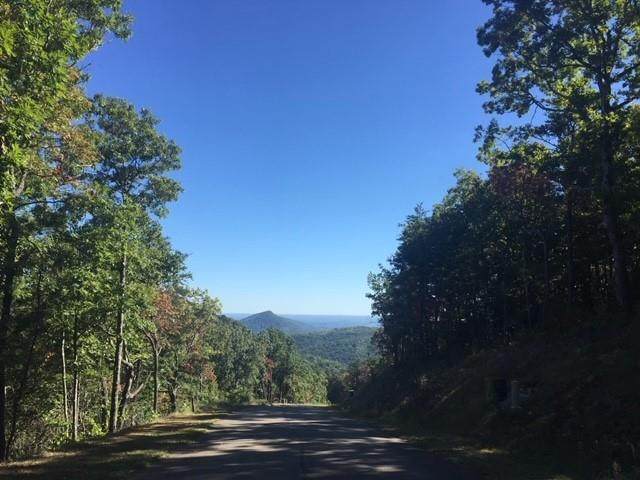 270 Stone Cliff Drive - Photo 1
