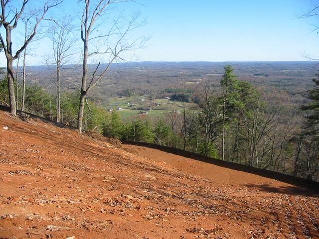 0 Eagle Ridge Trail - Photo 1