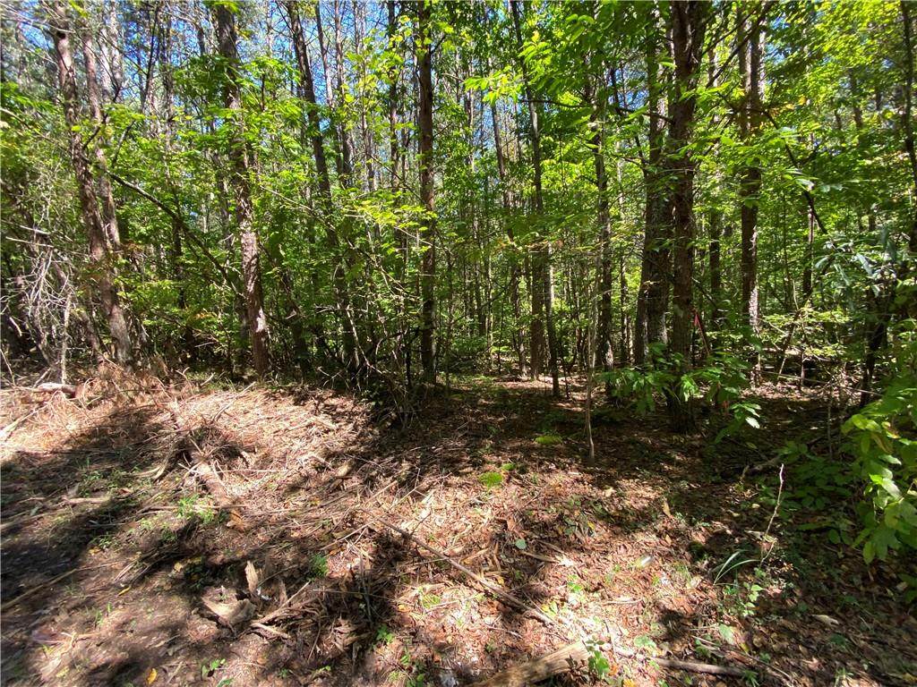 Lot 3 Mineral Springs Road - Photo 1