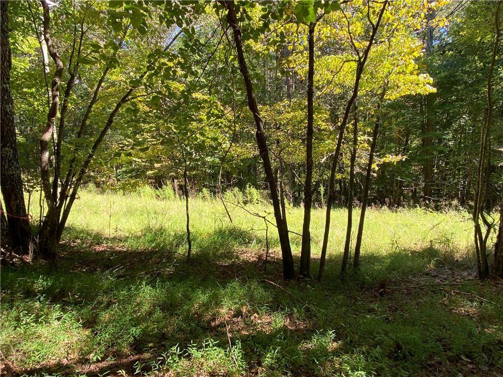 Lot 4 Mineral Springs Road - Photo 1