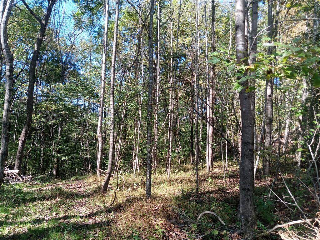 6677 Claude Parks Road - Photo 1