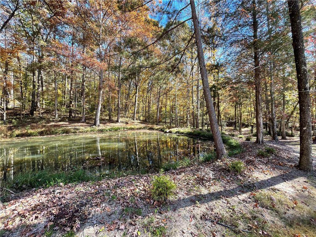 115 Annie Chandler Trail - Photo 1