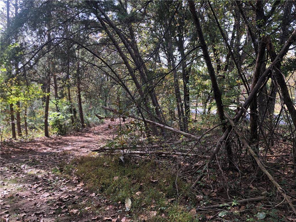 6313 Dawsonville Highway - Photo 1