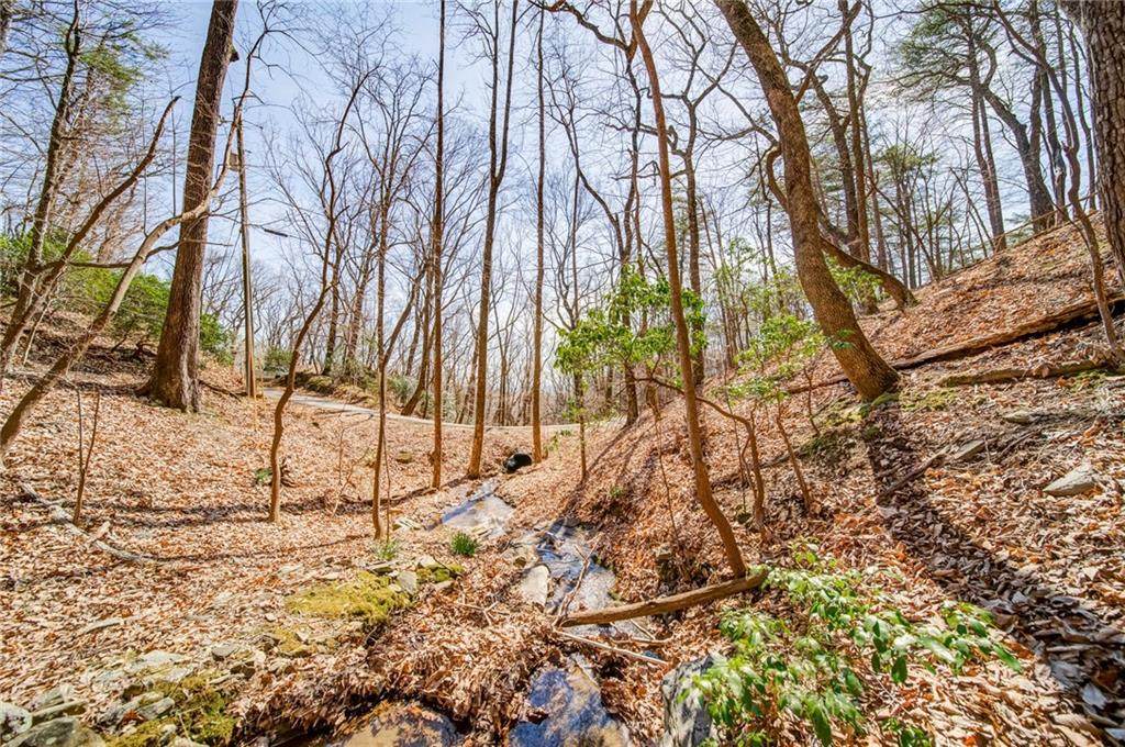 0 Oglethorpe Mountain Road - Photo 1