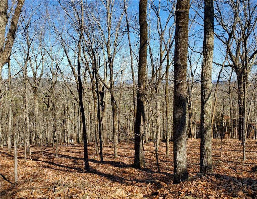 125 Moose Loop - Photo 1