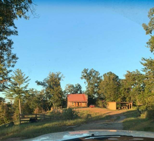 182 Black Bear Hollow - Photo 1