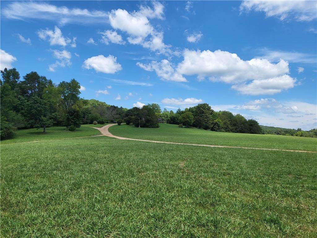 2035 Old Mineral Springs Road - Photo 1