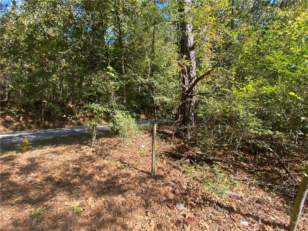 487 Cook Road - Photo 1