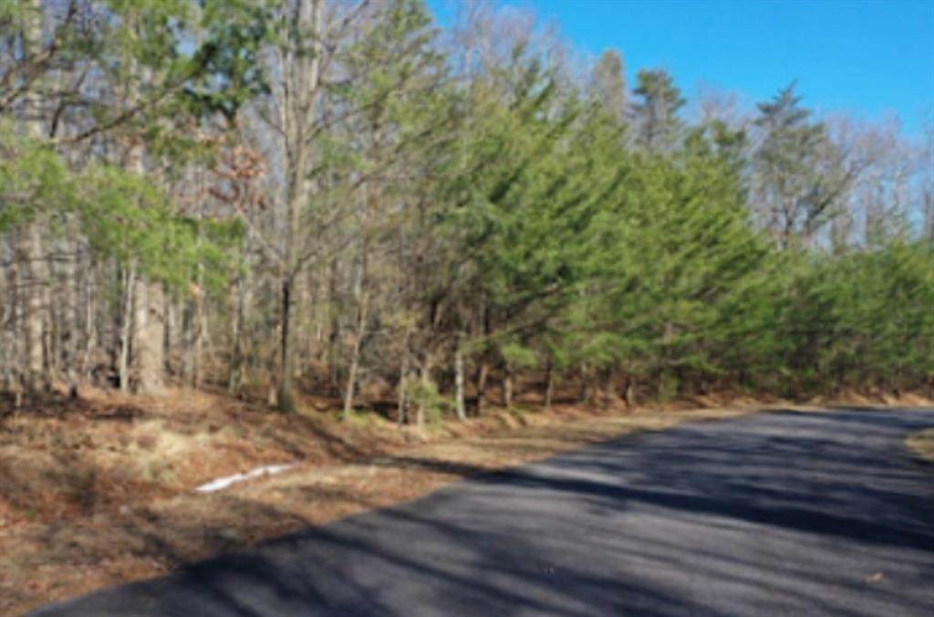 110 Cloudland Drive - Photo 1