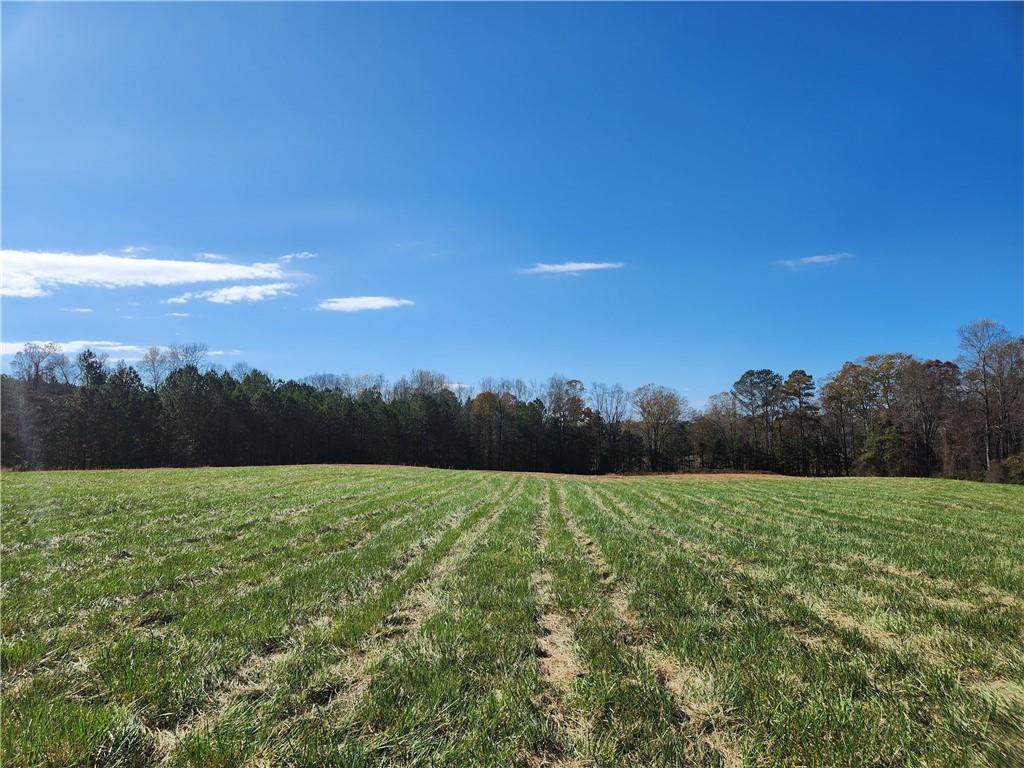 01 Cowart Rd - Photo 1