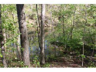 3720 Mcever Road - Photo 1