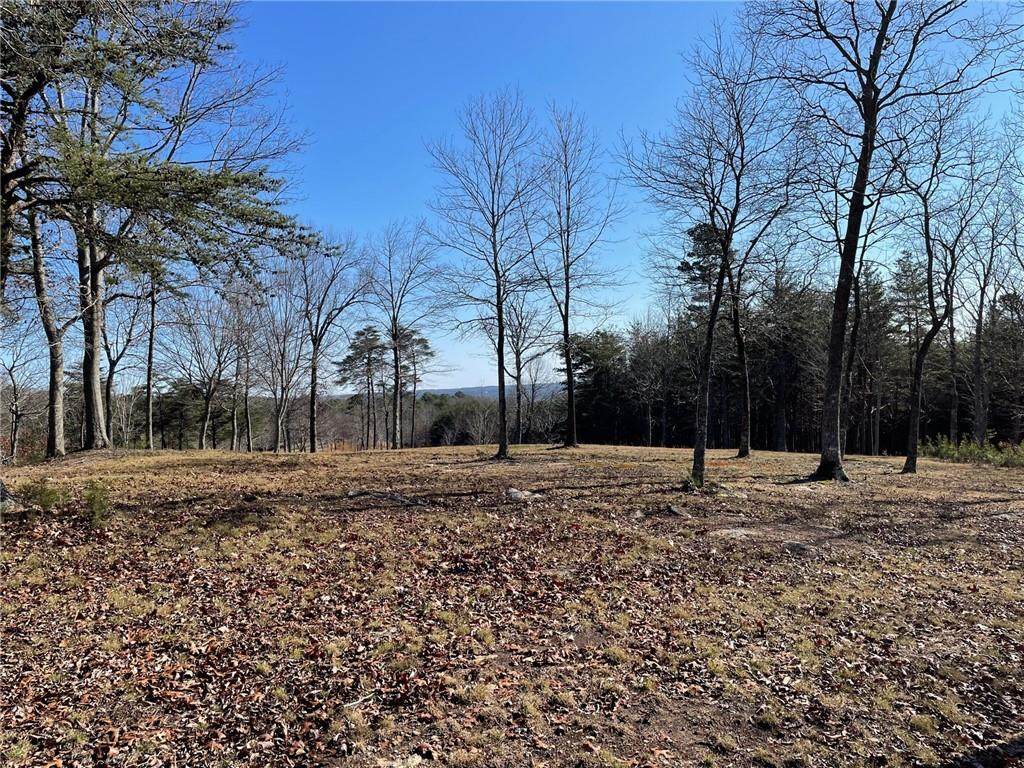 0 Dry Pond Road - Photo 1