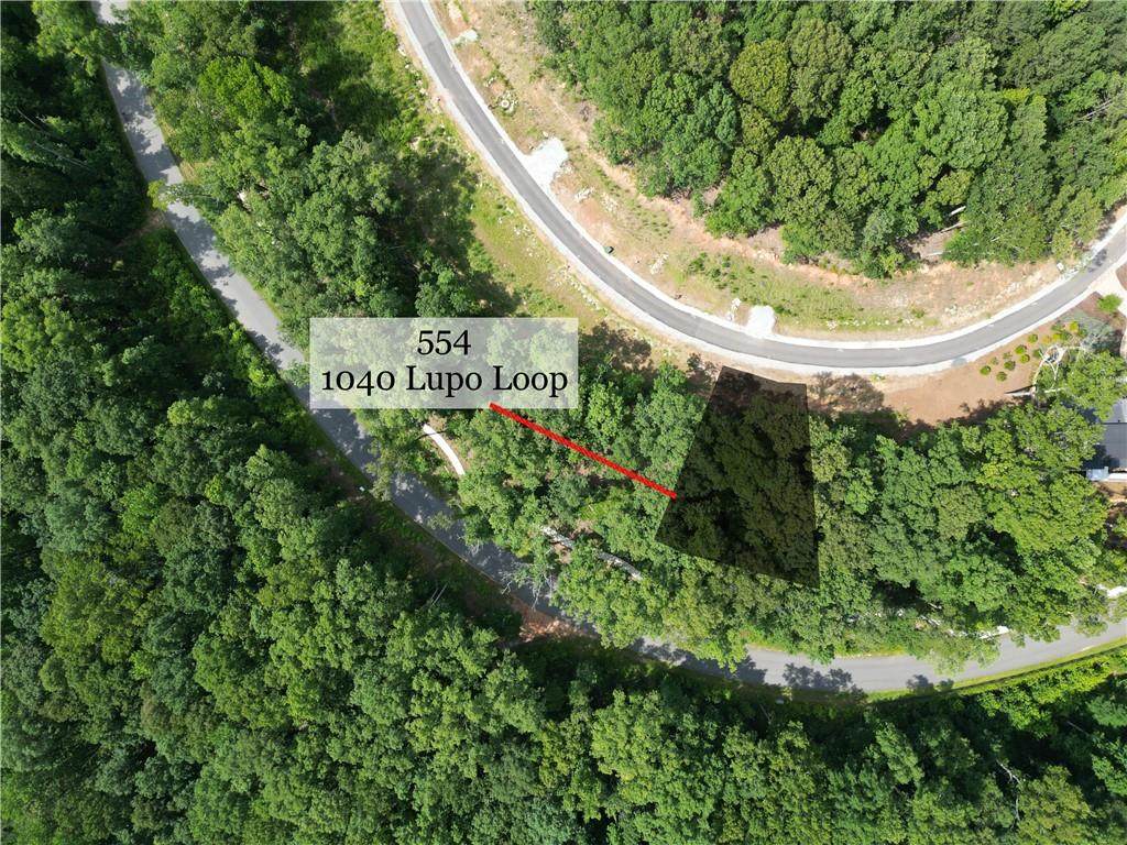 1040 Lupo Loop - Photo 1