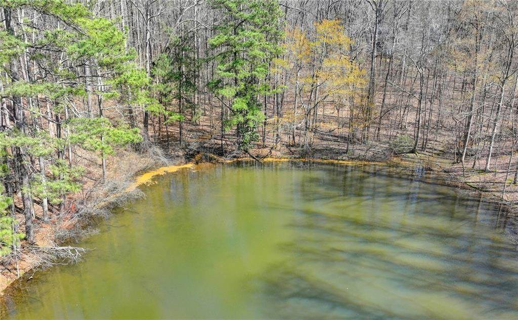 13340 New Providence Road - Photo 1