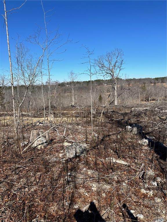 00000 Satcher Road - Photo 1