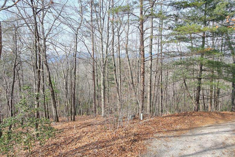 410 Chestnut Hills Road - Photo 1