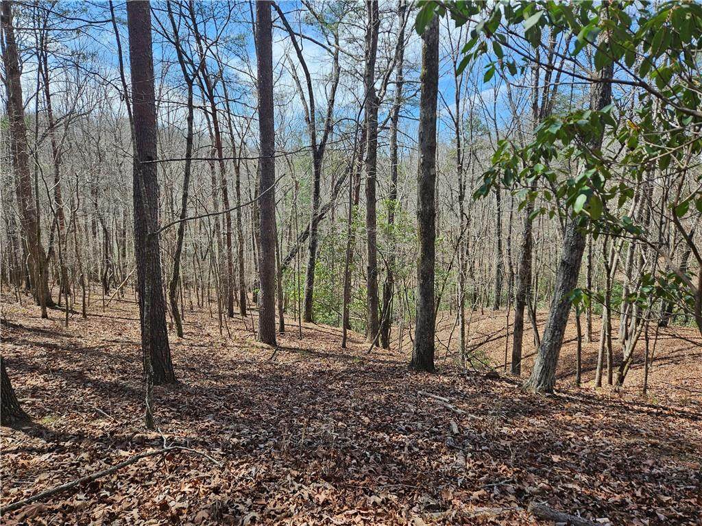 0 Bumpy Trail - Photo 1