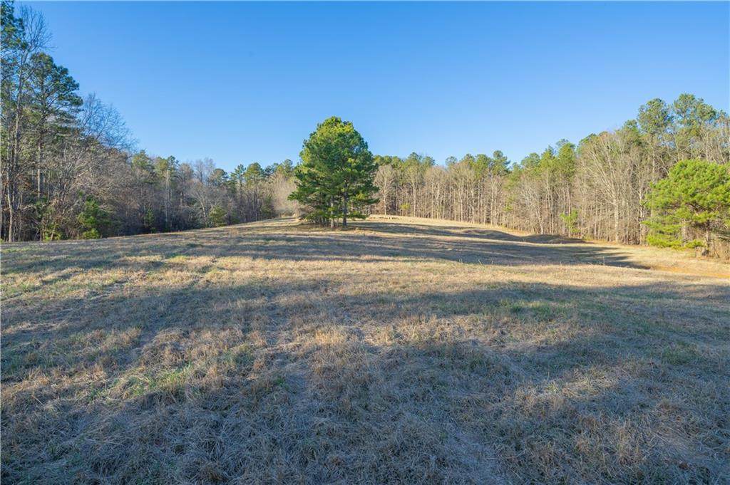 2000 Dabbs Bridge Road - Photo 1