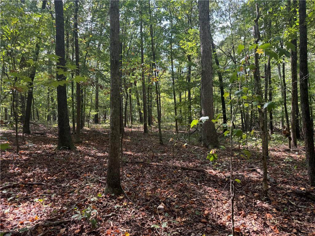 348 Pat Rich Drive - Photo 1