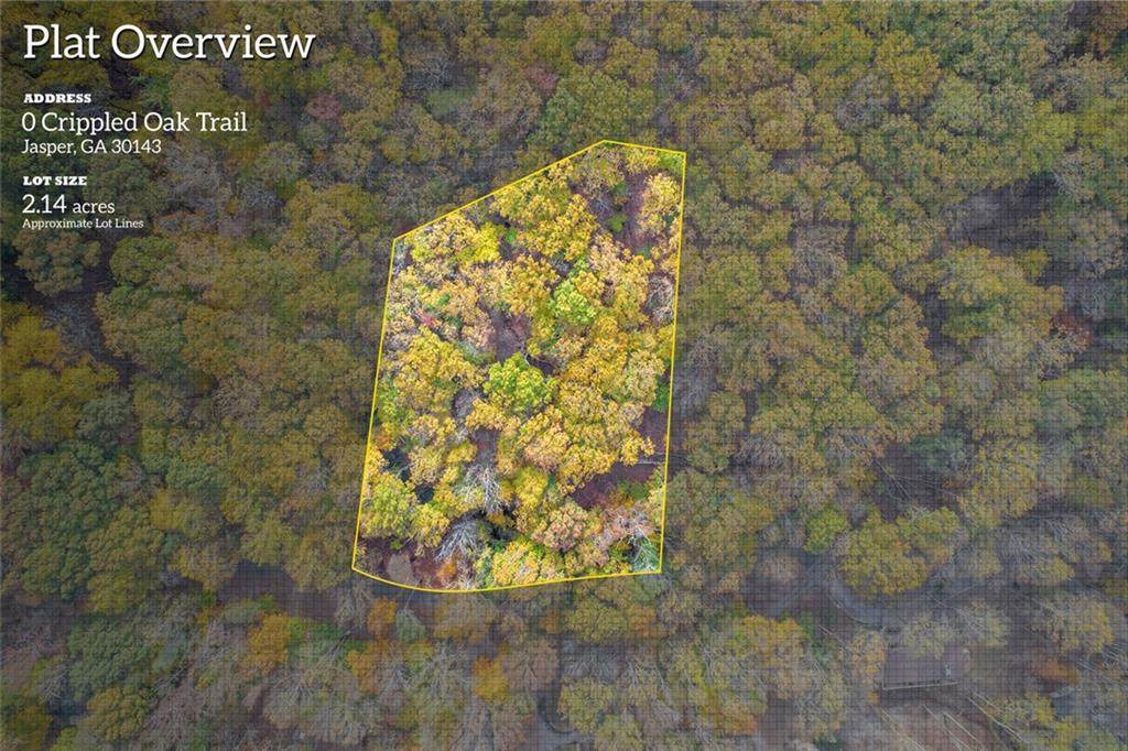 0 Crippled Oak Trail - Photo 1