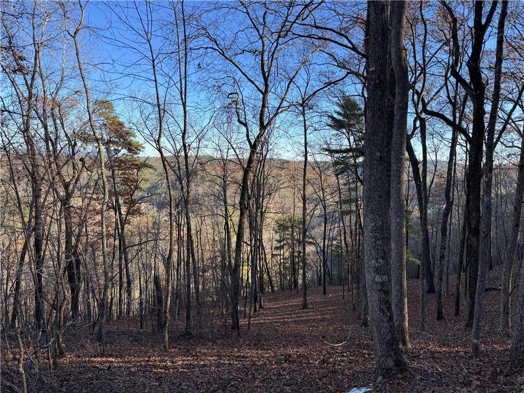 803 Greenwood Circle - Photo 1