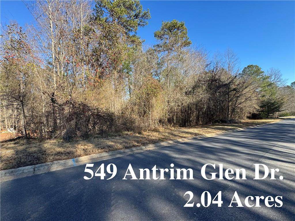 549 Antrim Glen Drive - Photo 1