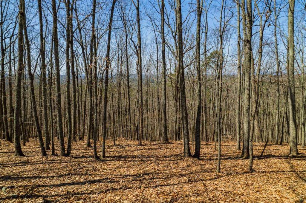 Lot 35 Heatherwood Way - Photo 1