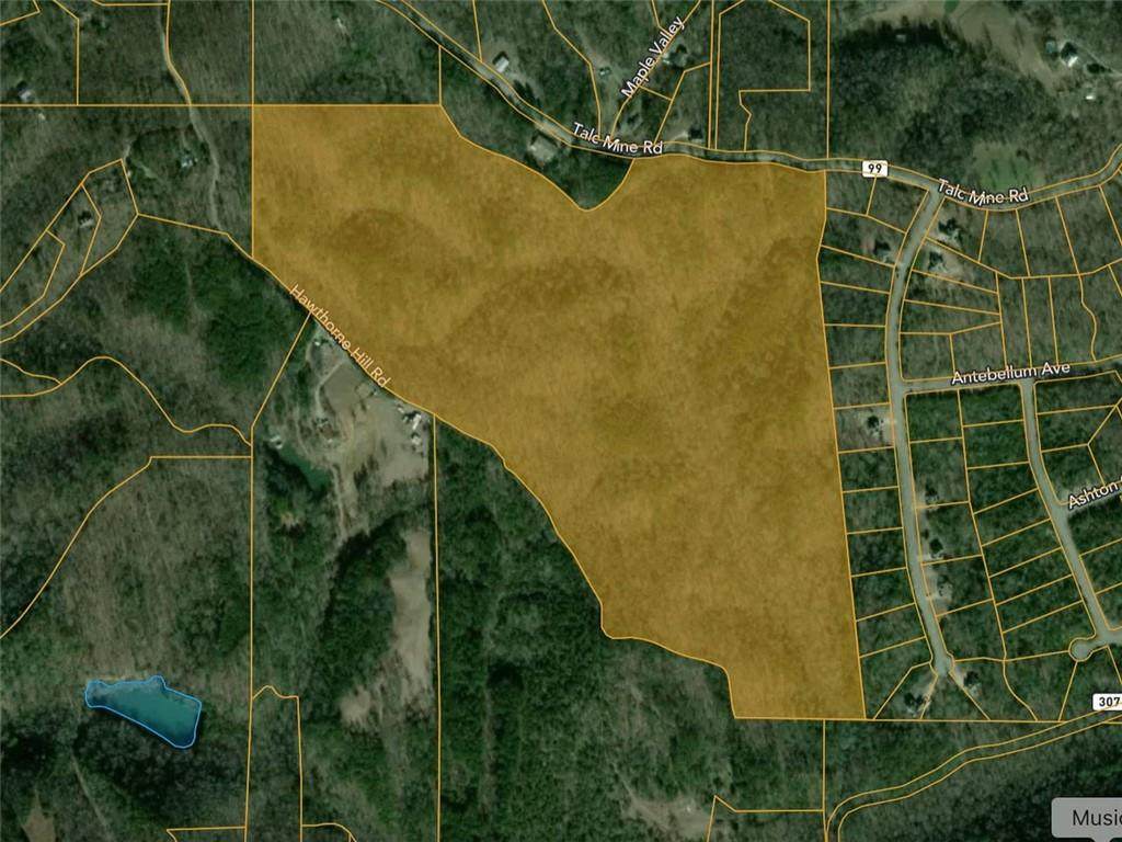 0 Talc Mine Road - Photo 1