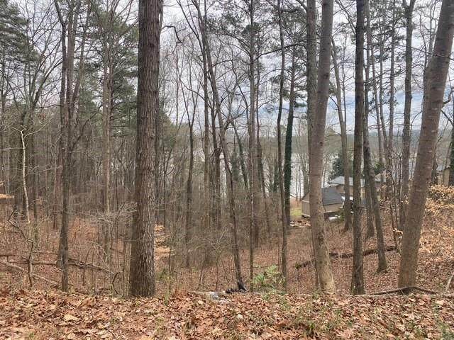 49 Lake Top Drive - Photo 1