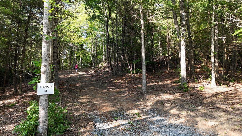 TR B East New Hope Road - Photo 1