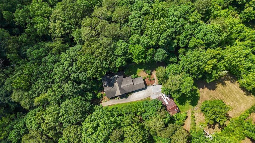 265 Shane Drive - Photo 1