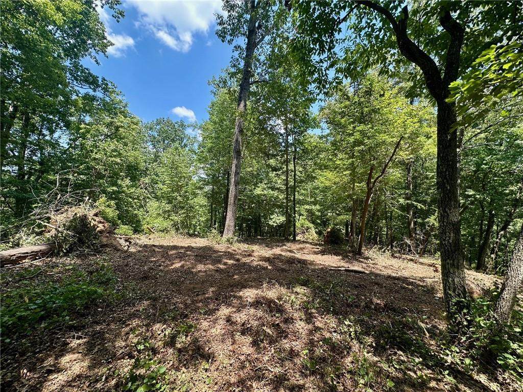 6.2 Mincey Acres Drive - Photo 1